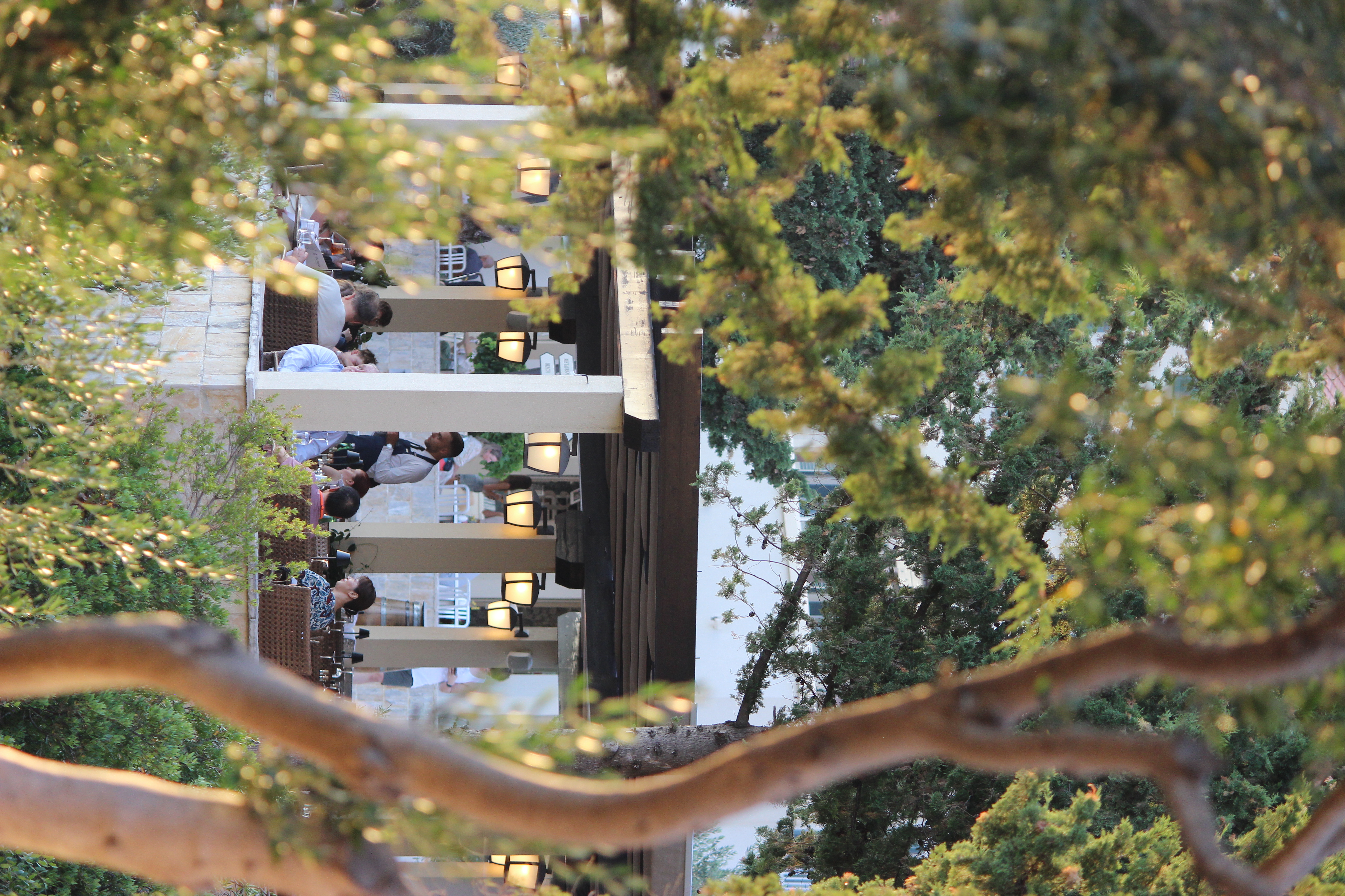 Terrace Dining